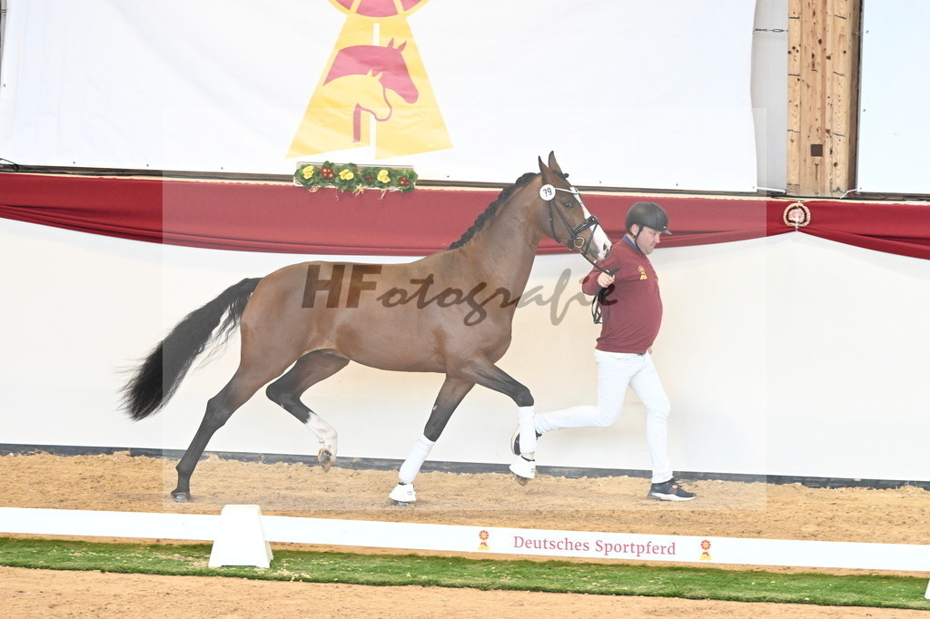 Kat.-Nr. 79 v. Valverde_Gaab_2241000 | hf-fotografie - Realisiert mit Pictrs.com