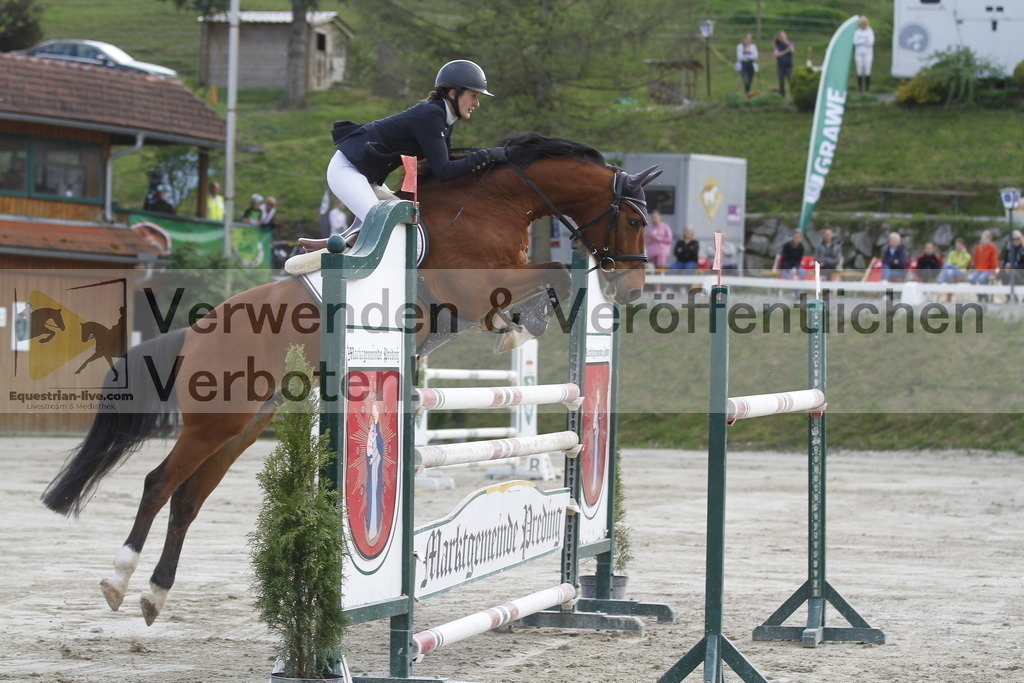 _MG_1117 | equestrian-live-com