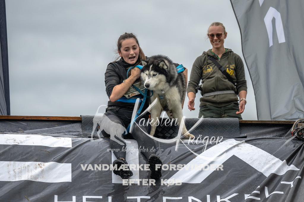 1558_ZZ91738 | kk-dogfotos