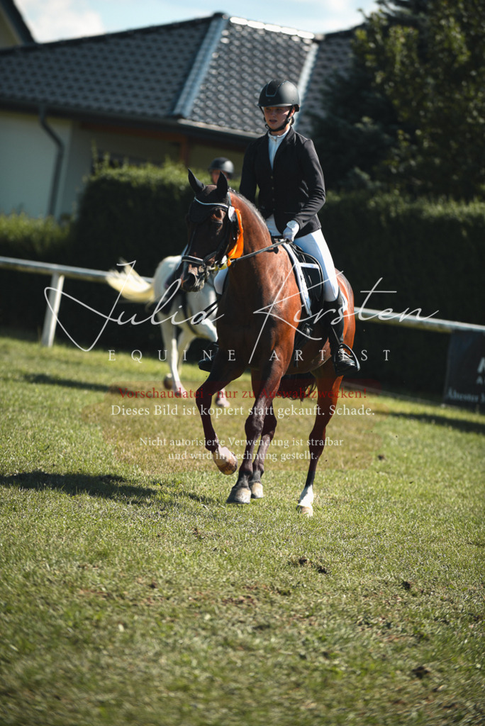DSC_7336 | Pferde- und Turnierfotografie in Westsachsen. Pferdeportraits, Auftragszeichnungen und intuitive Kunst.