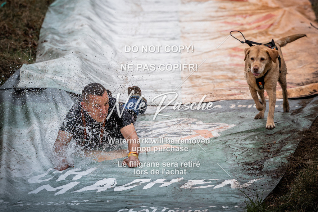 nelerasche_1230-1300_37 | nelerasche