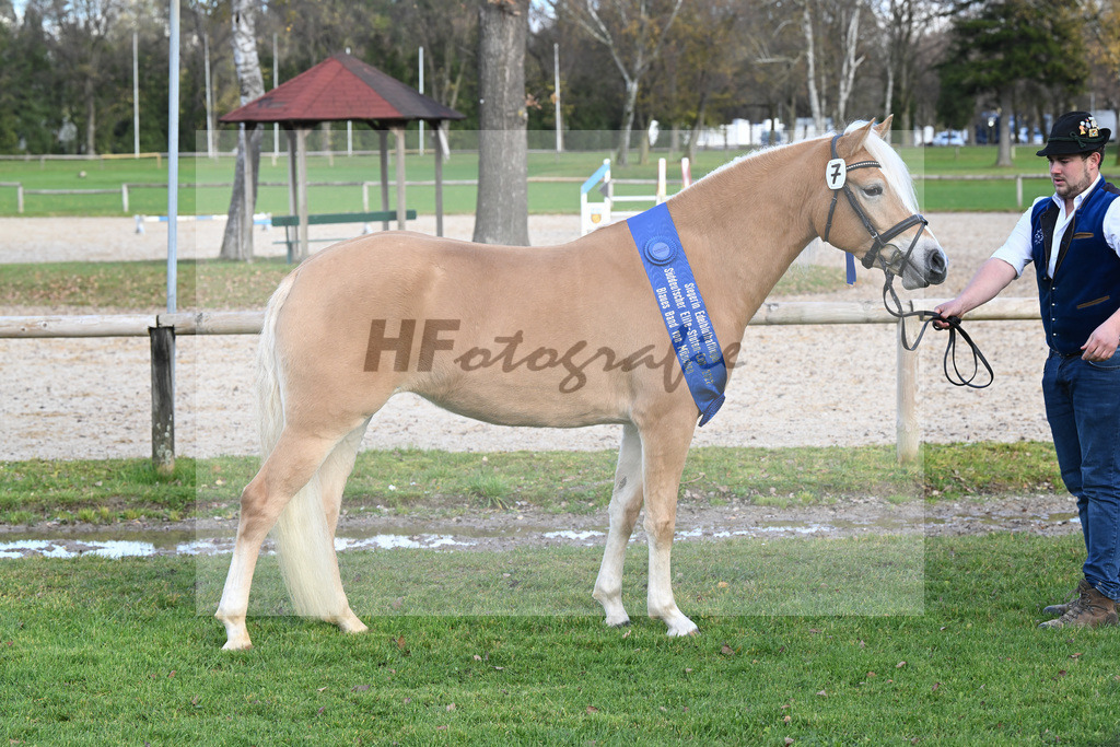 Kat-Nr. 7 Daria v. Armani Ass_Obermaier_60221364 | hf-fotografie - Realisiert mit Pictrs.com