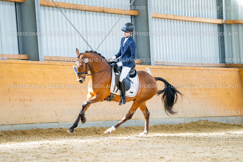 DSC07972 | Pferdegrafie