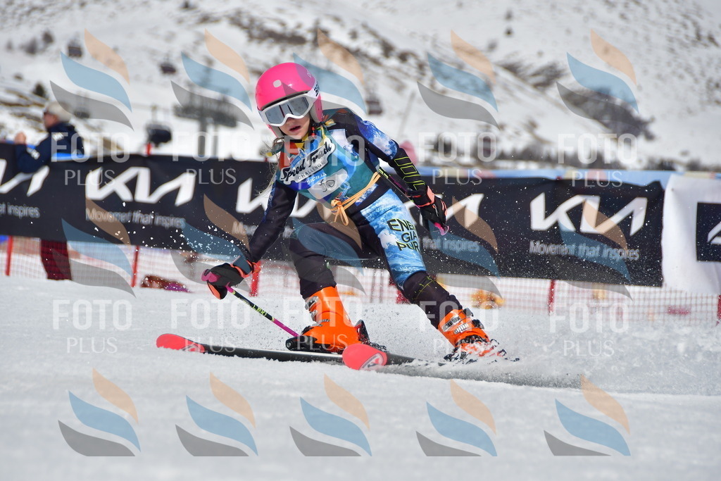 _DSC7542 | holidayphoto