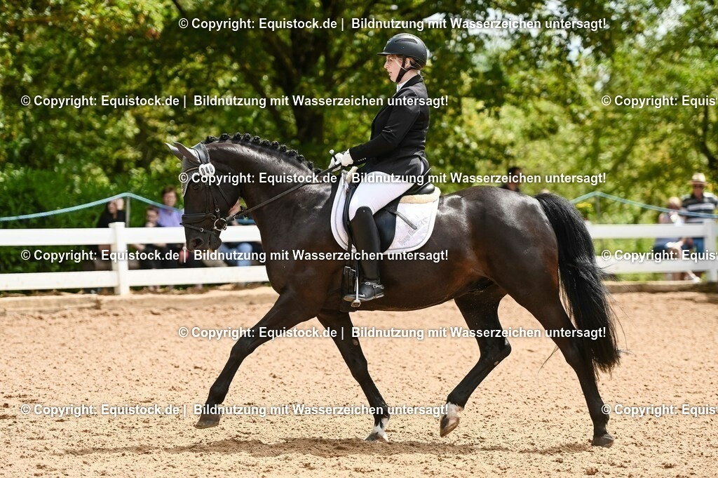 20230716_03_Dressurprfg. Kl.L - Tr._0190 | equistock