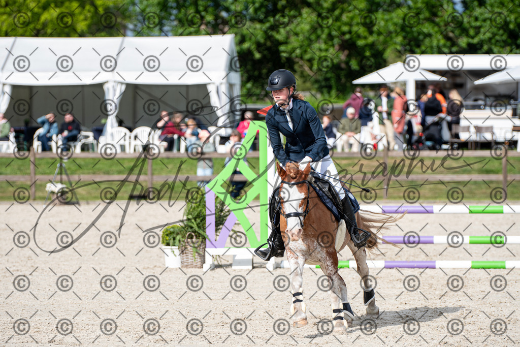 KPT_6761 | andre_photographic