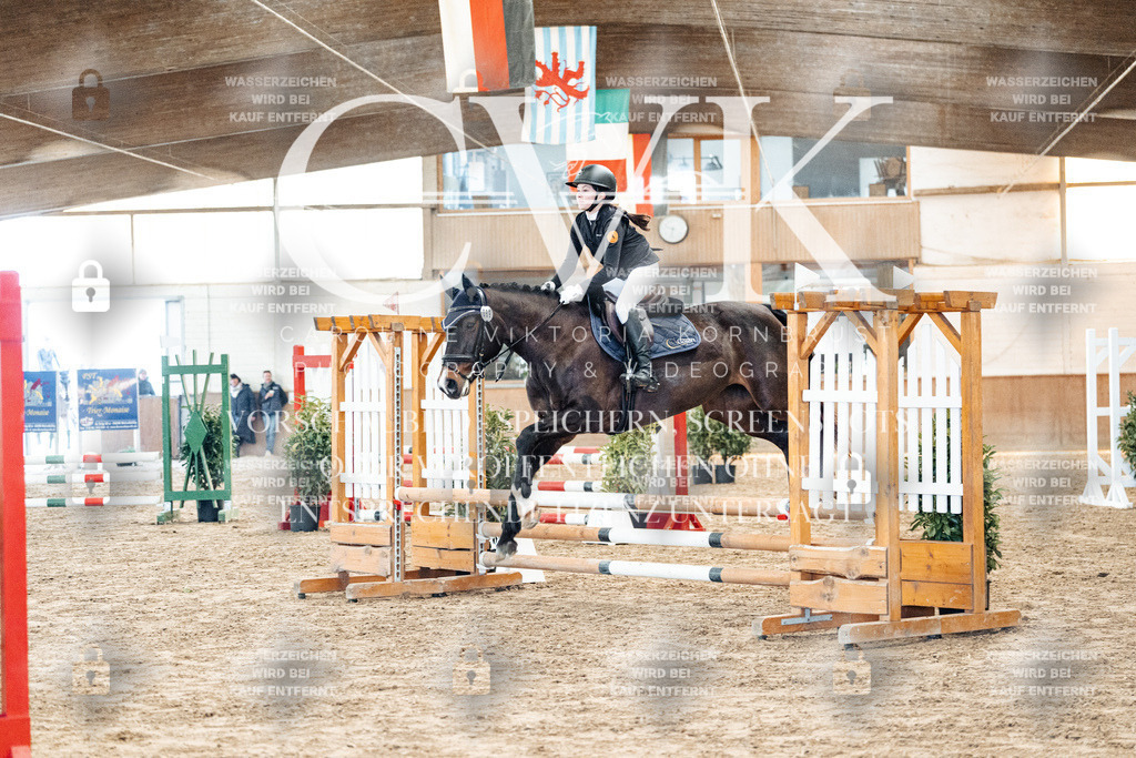 CK903780 | Turnierfotografie Pferdefotografie Trier Rheinland-Pfalz Pferdesport Reitsport Tierfotografie Sportfotografie Pferdevideo Pferdevideografie Equestrianvideography equestrianphotography  - Realisiert mit Pictrs.com
