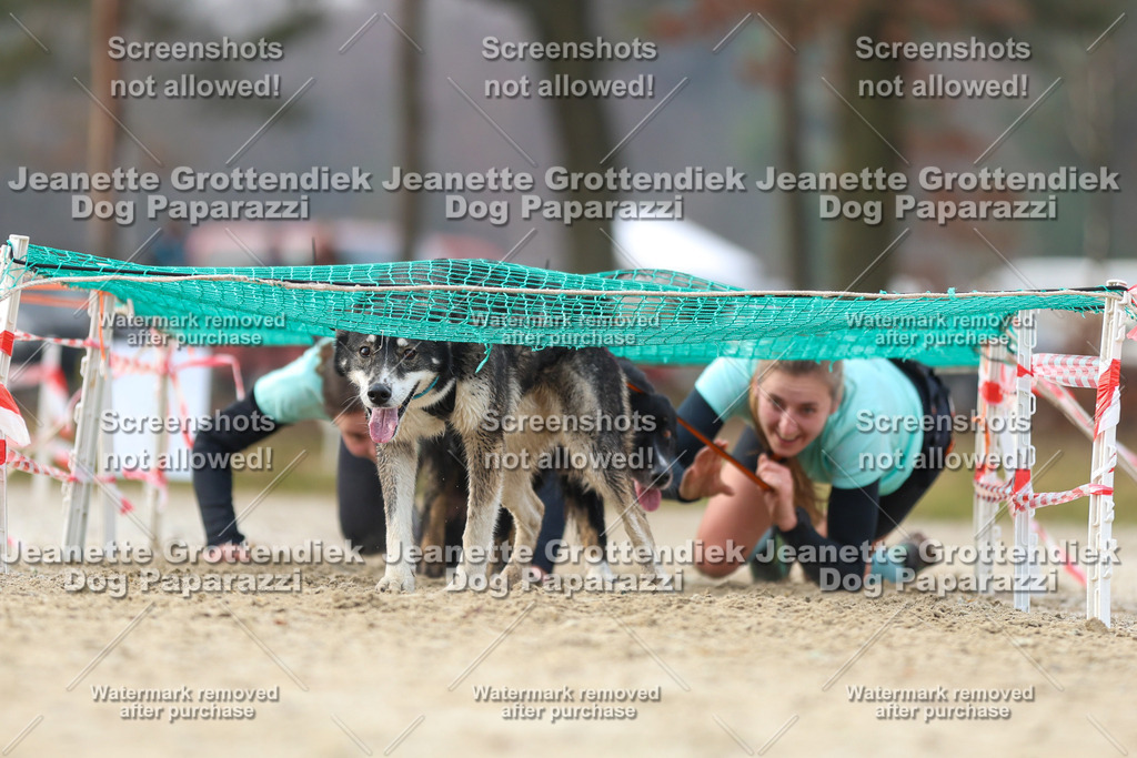 Dog Paparazzi - Strongdog North Mrz26-4359 | Dog Paparazzi Jeanette Grottendiek Fotografie & Videografie - Realisiert mit Pictrs.com