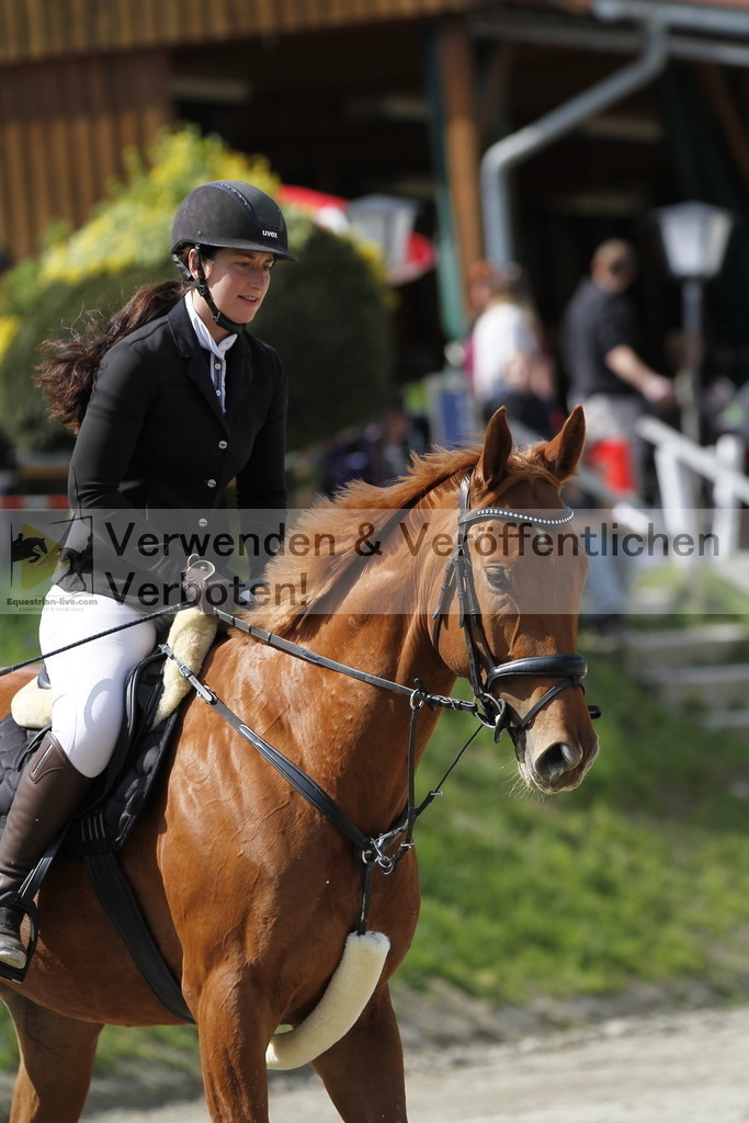 _MG_7815 | equestrian-live-com