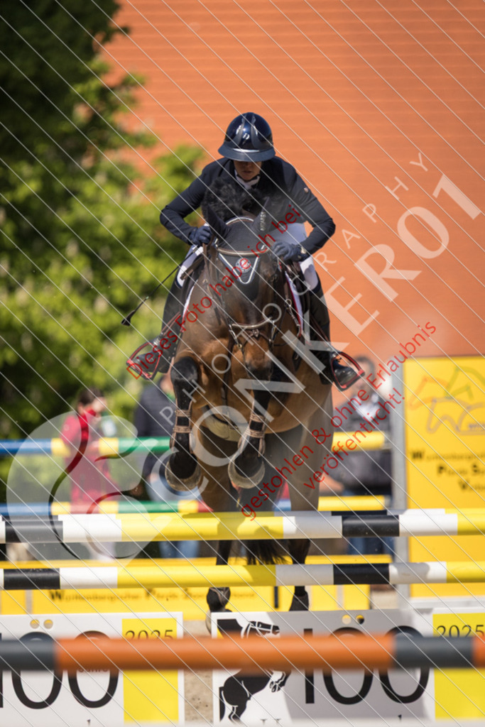 IMG_5090 | Sport-, Event- und Tierfotos in Profiqualität. Einfach auswählen, bestellen und herunterladen. Dein Moment – perfekt festgehalten.