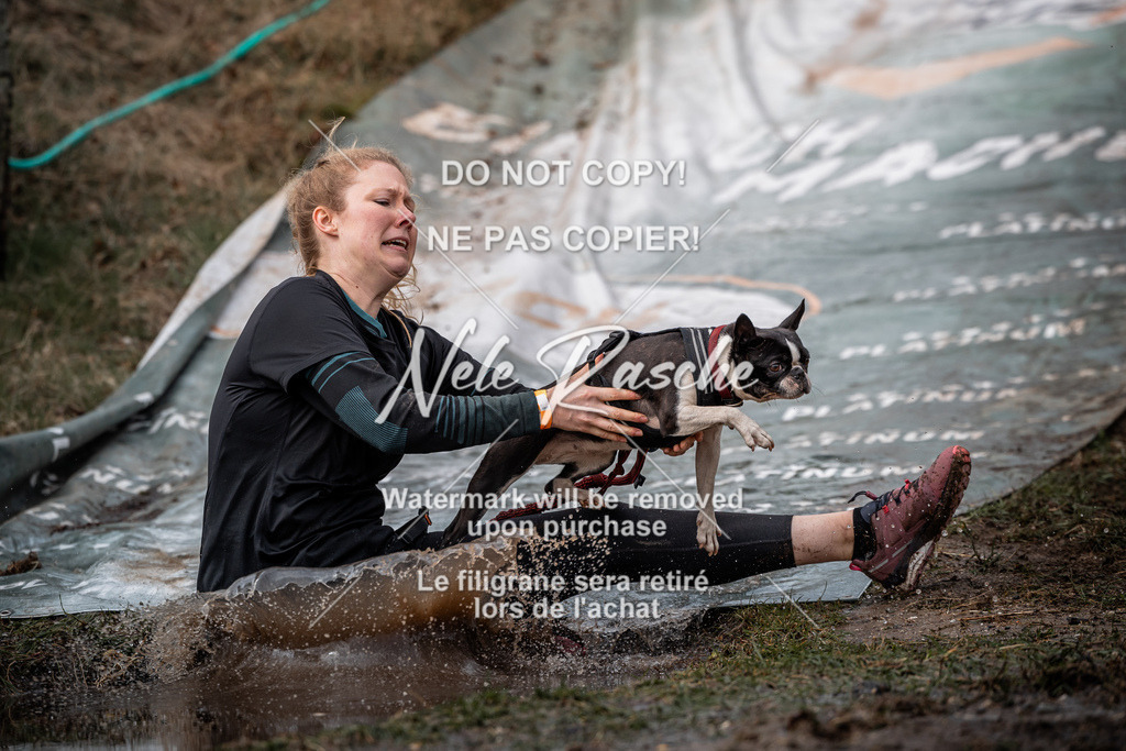 nelerasche_1330-1400_298 | nelerasche