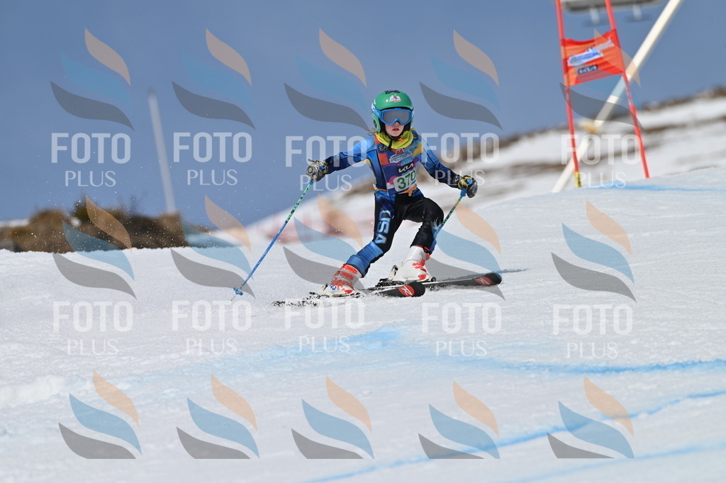 BGV_7320 | holidayphoto