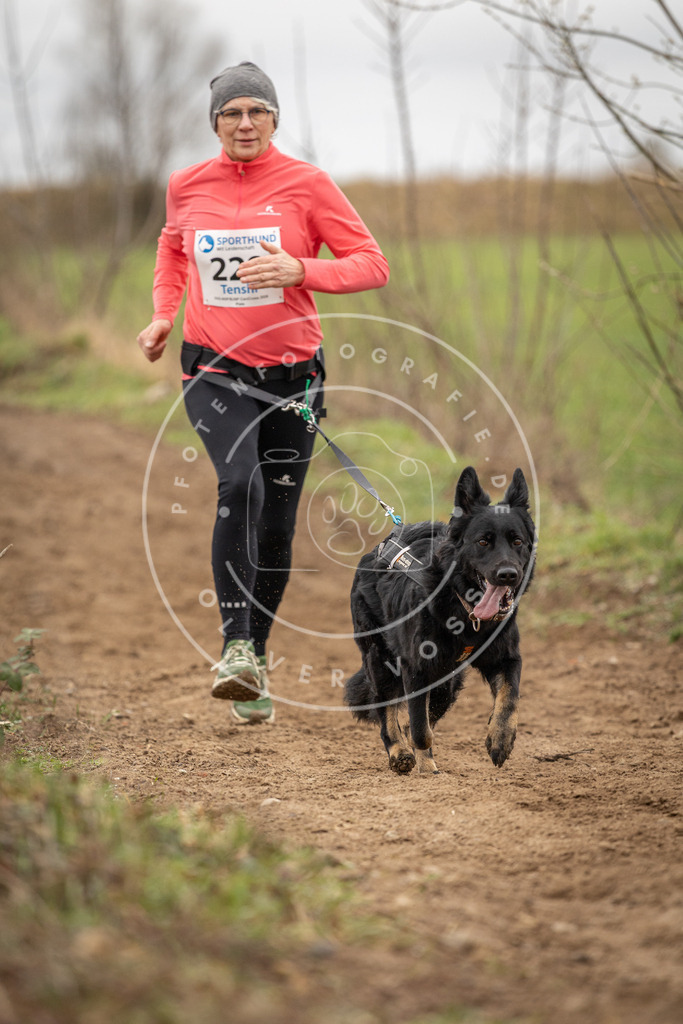 DV3A2752 | Hundefotografie, Tierfotograf, Pfotenfotografie, Fotoshooting Hund, Hunde Portrait, Hundesport, Hundeportraits, Heideshooting, Hunde, Sportfotograf, Hundefotograf, Turnierhundsport, THS,  - Realisiert mit Pictrs.com