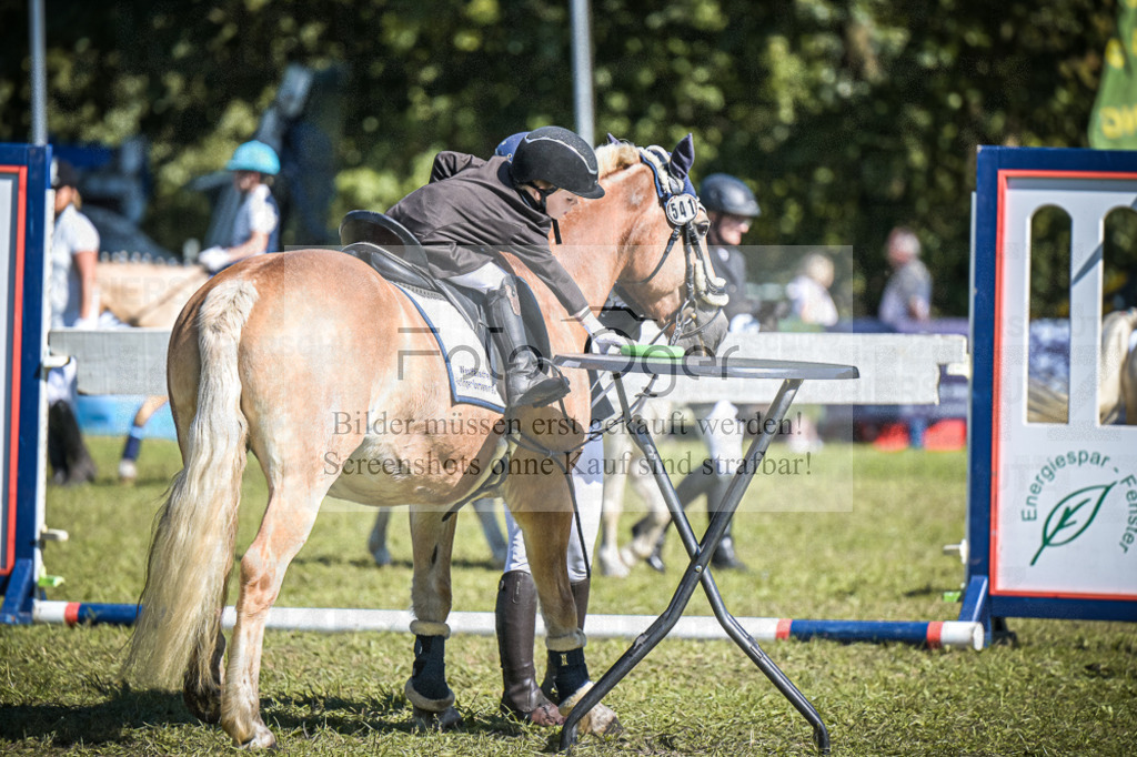DOS_0250 | Entdecke hochwertige Reitturnierfotos von Foto Oger. Professionell, emotional und authentisch – jetzt Lieblingsmomente im Shop bestellen.Deutschlandweite Turnierfotografie. - Realisiert mit Pictrs.com