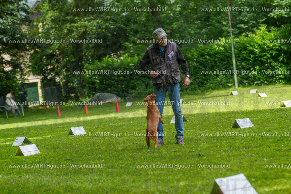 @allesWIRTHgut_Tierfotografie - www.allesWIRTHgut.de - 7R504267 | Professionelle Tierfotografie in Mönchengladbach von Daniel Wirth (allesWIRTHgut). Liebevolle & natürliche Bilder von Hunden & Katzen für unvergessliche Erinnerungen.