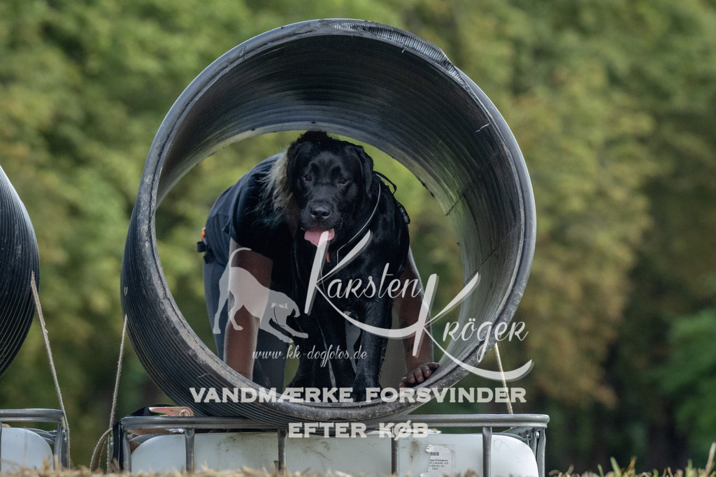 1050_ZZ93256 | kk-dogfotos
