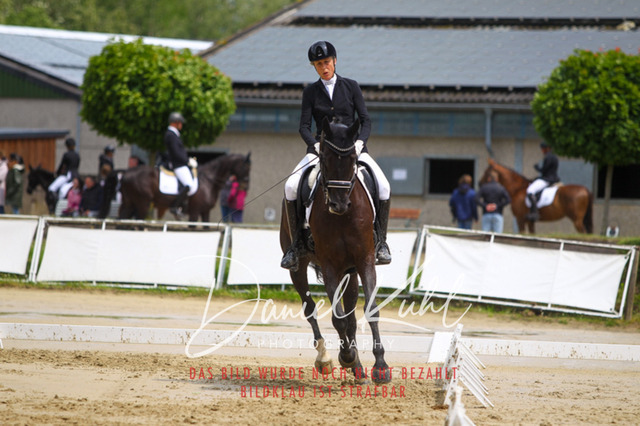 DKP40681 | Turniersportfotografie; Pferdefotografie; Dressurfotografie