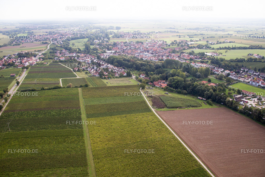 Ortsansicht | Luftbild: Ortsansicht im Ortsteil Ingenheim in Billigheim-Ingenheim im Bundesland Rheinland-Pfalz in Deutschland. Foto: IMG_072710.jpg vom 19.09.2014 durch Werner Riehm/FLY-FOTO.de - Realisiert mit Pictrs.com