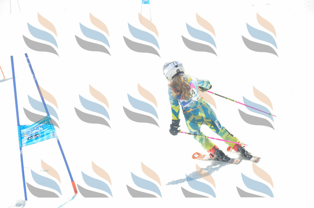 _ELE6162 | holidayphoto