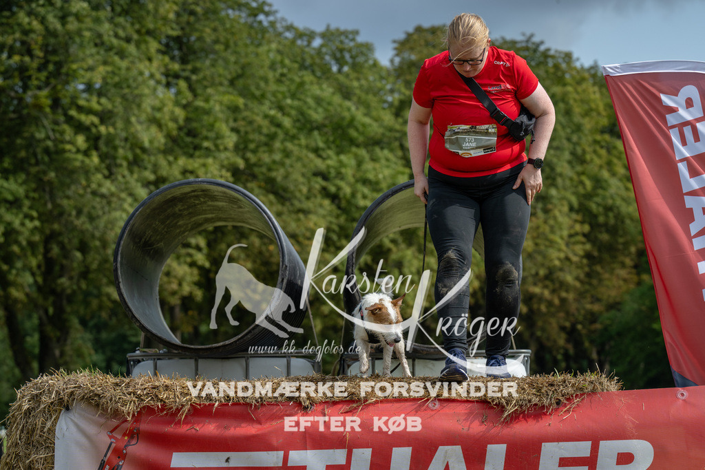 1145_ZZ90236 | kk-dogfotos