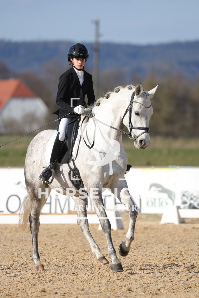 0P6A7990 | Willkommen bei Brunnmayr - Design & Fotografie – Ihrem Spezialisten für Reitturniere und Pferdeveranstaltungen in Oberösterreich, Salzburg und Bayern! Seit über 17 Jahren sind wir leidenschaftlich dabei.