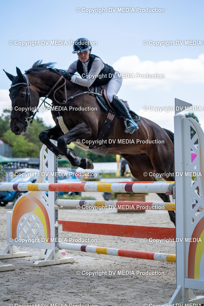 Hessische Tag 1-645 | dv-media-shop - Realisiert mit Pictrs.com