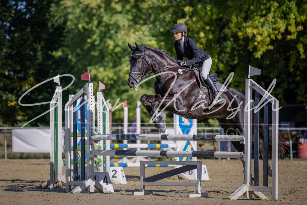 20250906-_3LI3217 | Tierfotografie Pferde, Hunde, Katzen, Haustiere.
Turnierfotografie Reitturniere, Reiten, Springreiten, Dressur in Hanau, dem Main-Kinzig-Kreis und dem Rhein-Main- Gebiet um Frankfurt