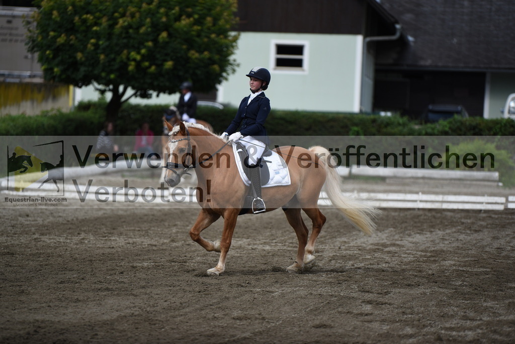 DSC_5023 | equestrian-live-com