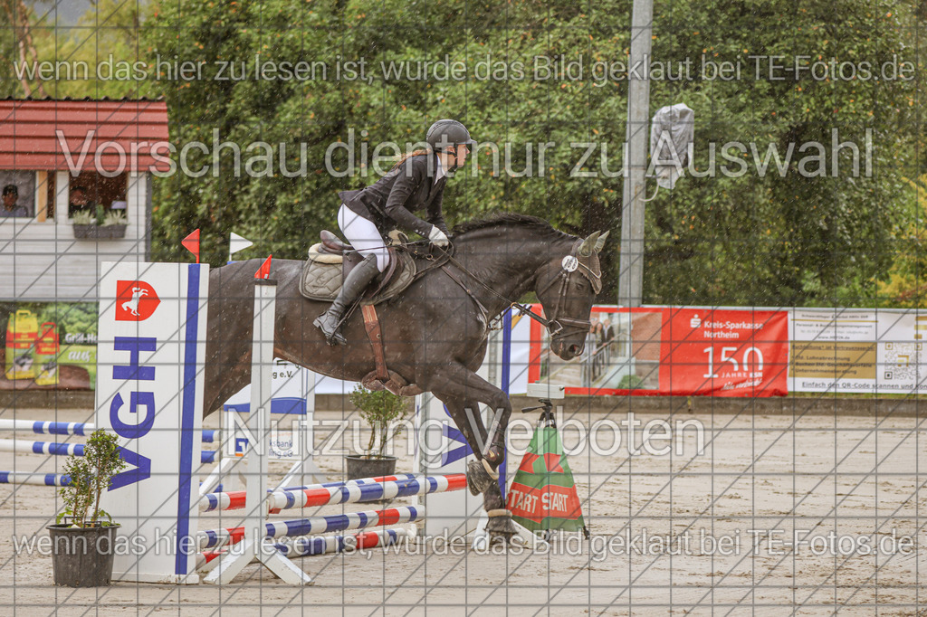 2025-09-22_10-07-31_MG_5891 | TE-Fotos