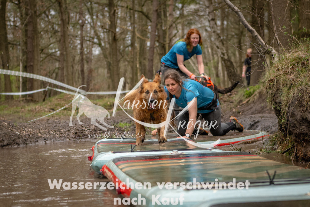 1136_ZZ93539 | kk-dogfotos