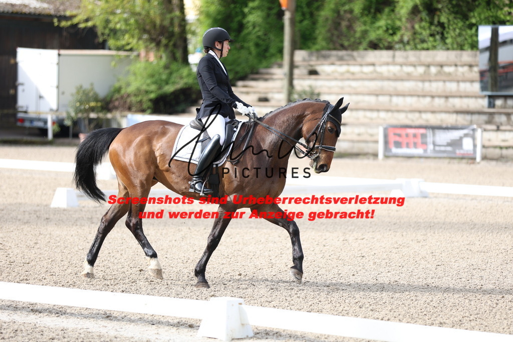 A40A0213 | lmwpictures - Realisiert mit Pictrs.com