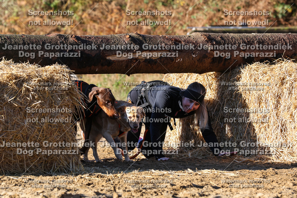 Dog Paparazzi - Strongdog 10-25-1558 | Dog Paparazzi Jeanette Grottendiek Fotografie & Videografie - Realisiert mit Pictrs.com