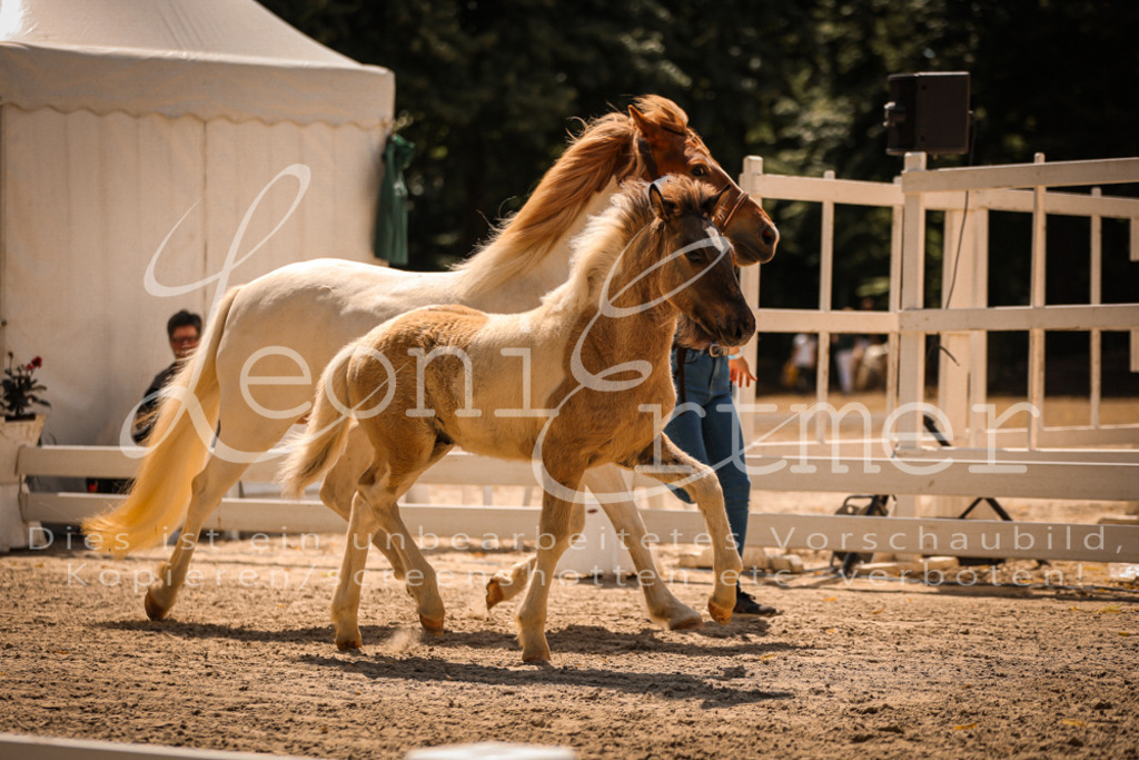 02.DoSR00017 | Leoni Ertmer Photography - Realisiert mit Pictrs.com