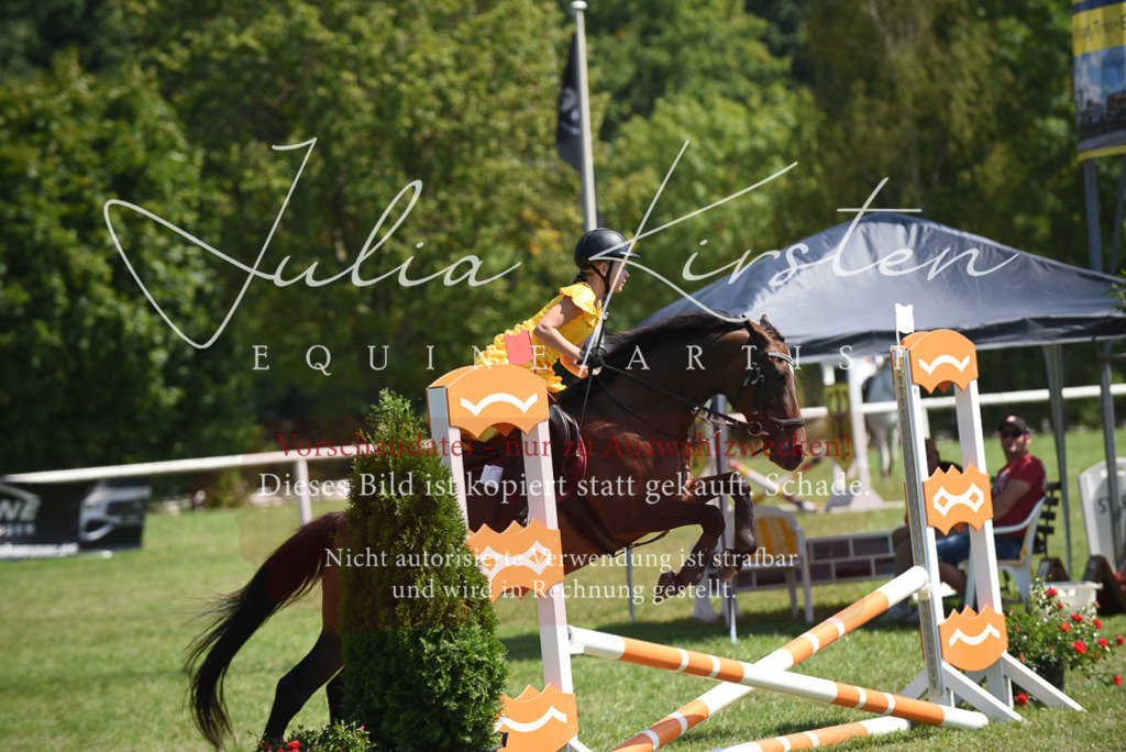 DSC_0162 | Pferde- und Turnierfotografie in Westsachsen. Pferdeportraits, Auftragszeichnungen und intuitive Kunst.