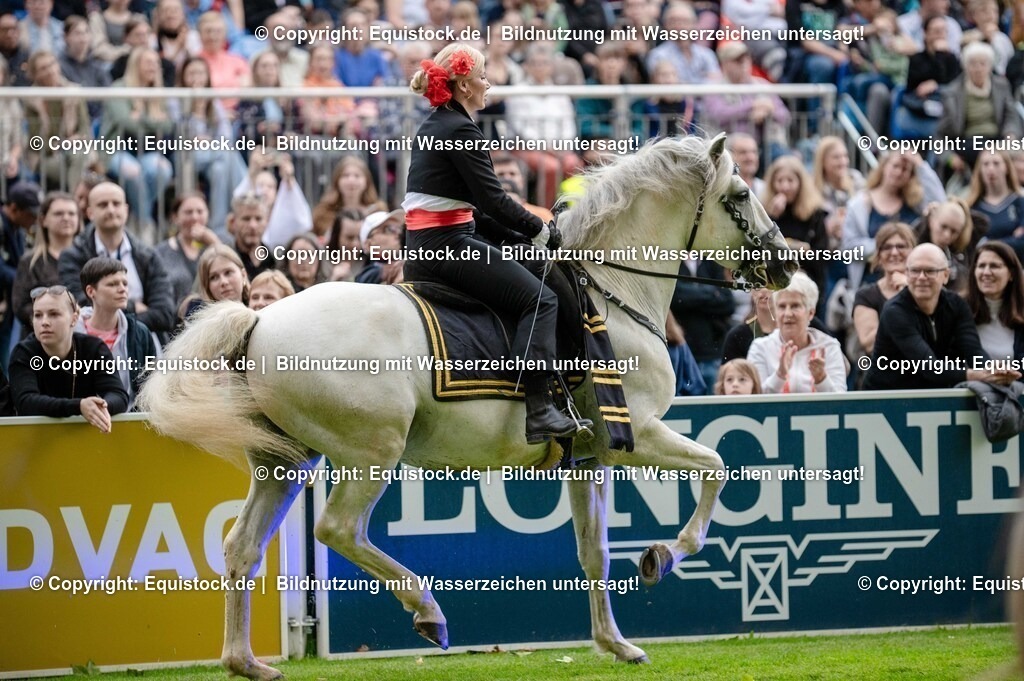 20250606_Lange-Pferdenacht_0560 | Foto: Thomas Hartig