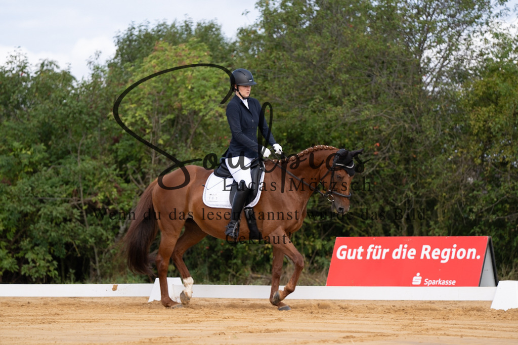 A7V05102 | Pferdefotograf