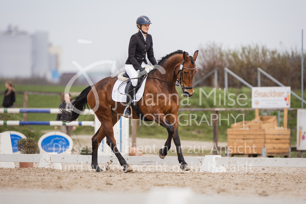 230410_Frühlingsfest_DressurWBA2-334 | Deine schönsten Turniermomente als professionelle Fotos! Entdecke hochwertige Pferdesport-Fotografie im Online-Shop. Jetzt Fotos finden & bestellen!