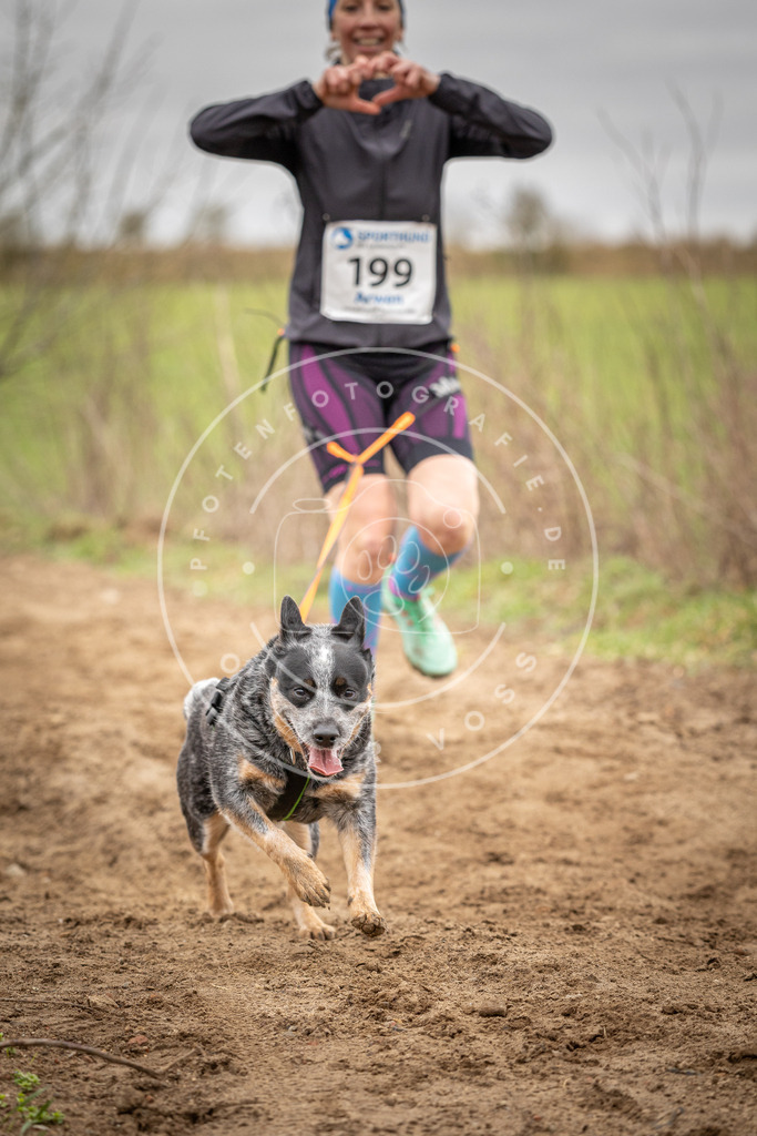 DV3A2424 | Hundefotografie, Tierfotograf, Pfotenfotografie, Fotoshooting Hund, Hunde Portrait, Hundesport, Hundeportraits, Heideshooting, Hunde, Sportfotograf, Hundefotograf, Turnierhundsport, THS,  - Realisiert mit Pictrs.com
