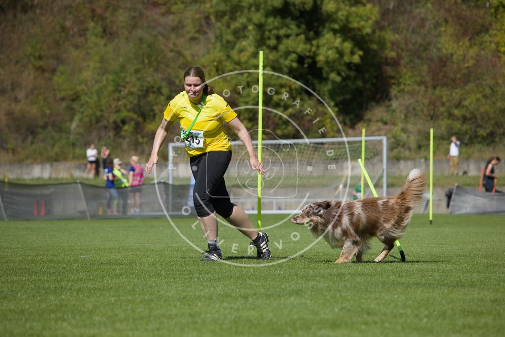 0L8A5902 | Hundefotografie, Tierfotograf, Pfotenfotografie, Fotoshooting Hund, Hunde Portrait, Hundesport, Hundeportraits, Heideshooting, Hunde, Sportfotograf, Hundefotograf, Turnierhundsport, THS,  - Realisiert mit Pictrs.com