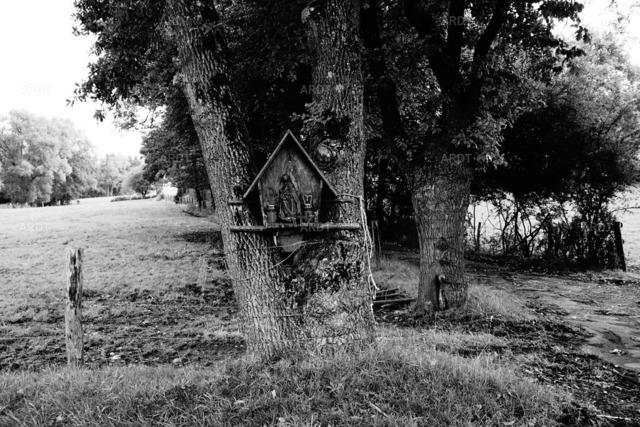 Baum Füße 20 | ARDT Foto Kunst