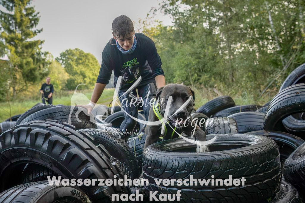 1027_ZZ94407-Bearbeitet | kk-dogfotos