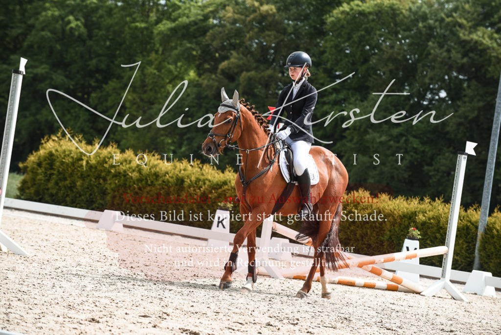 20230518_JK-Röhrsdorf-10-133 | Pferde- und Turnierfotografie in Westsachsen. Pferdeportraits, Auftragszeichnungen und intuitive Kunst.