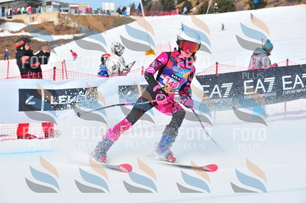 DSC_4999 | holidayphoto