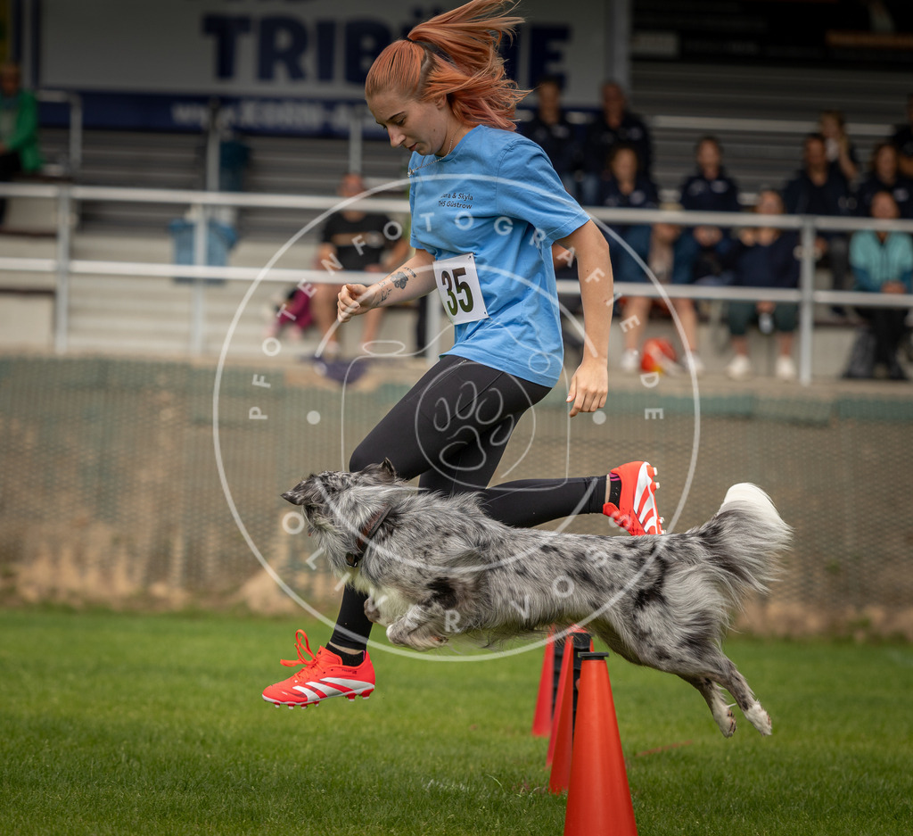 Pfotenfotografie_DV3A1848 | Hundefotografie, Tierfotograf, Pfotenfotografie, Fotoshooting Hund, Hunde Portrait, Hundesport, Hundeportraits, Heideshooting, Hunde, Sportfotograf, Hundefotograf, Turnierhundsport, THS,  - Realisiert mit Pictrs.com