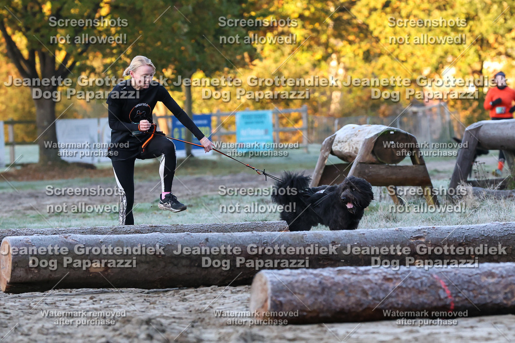 Dog Paparazzi - Strongdog 10-25-245 | Dog Paparazzi Jeanette Grottendiek Fotografie & Videografie - Realisiert mit Pictrs.com