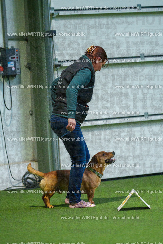 7R502405 | Professionelle Tierfotografie in Mönchengladbach von Daniel Wirth (allesWIRTHgut). Liebevolle & natürliche Bilder von Hunden & Katzen für unvergessliche Erinnerungen.