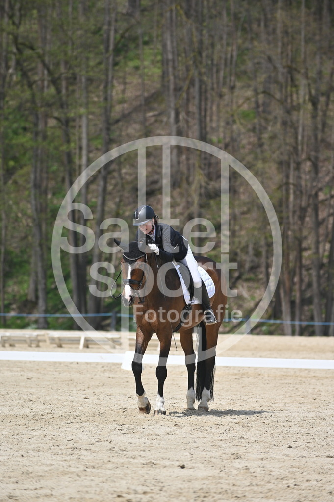 DSC_2402 | sattelsport - Realisiert mit Pictrs.com