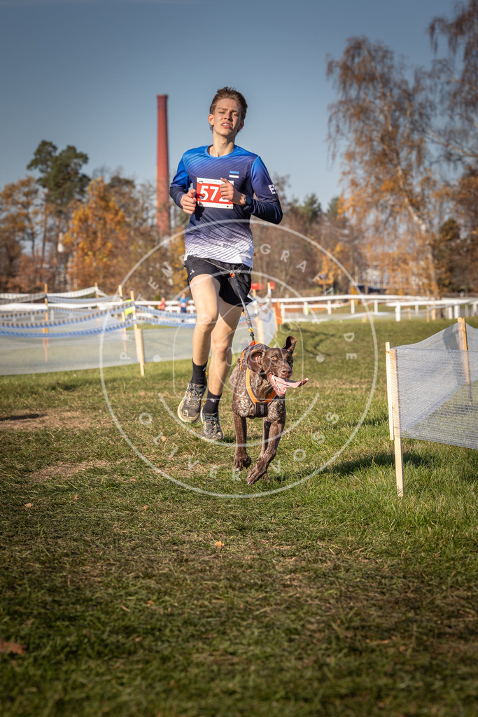 CaniXpix_0L8A8071 | Hundefotografie, Tierfotograf, Pfotenfotografie, Fotoshooting Hund, Hunde Portrait, Hundesport, Hundeportraits, Heideshooting, Hunde, Sportfotograf, Hundefotograf, Turnierhundsport, THS,  - Realisiert mit Pictrs.com