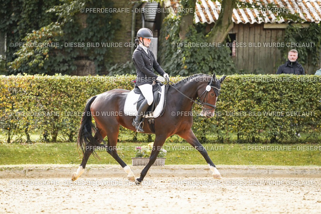 DSC00969 | Pferdegrafie