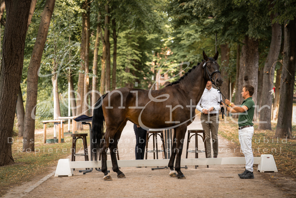 FrPfM00040 | Leoni Ertmer Photography - Realisiert mit Pictrs.com